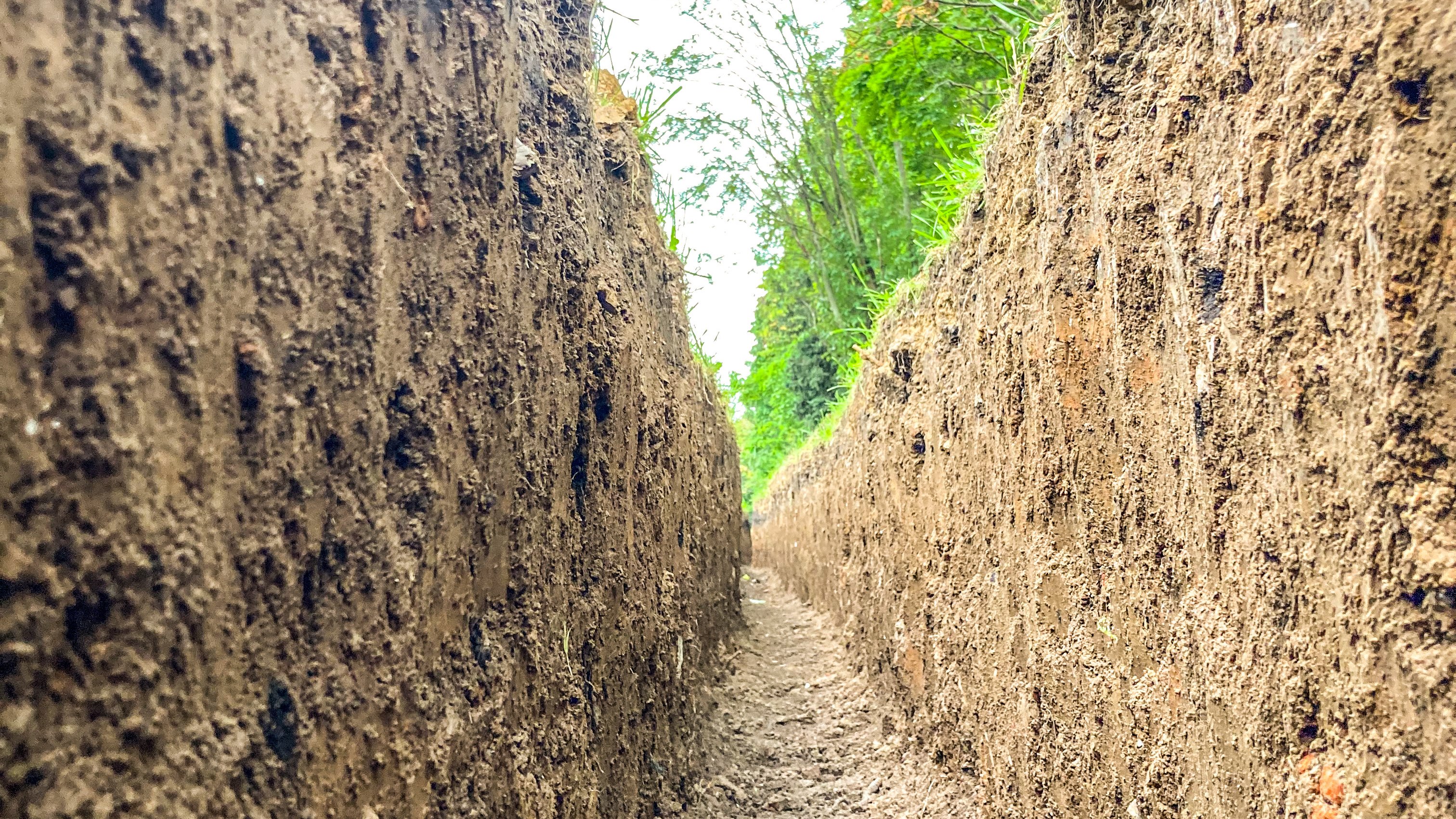 Excavated Soil Trench in Natural Landscape | Groundwork & Earthworks A narrow, deep trench dug into compacted soil with loose dirt at the bottom, surrounded by green foliage in an outdoor setting.